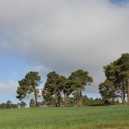 Holiday home Casa Rural El Alfar