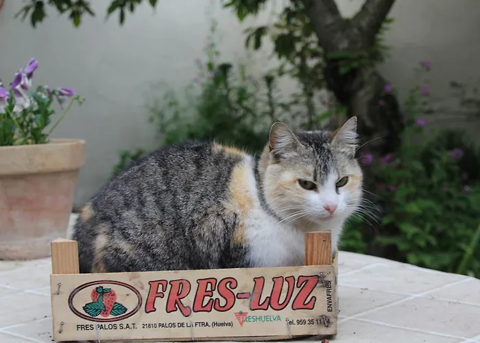 El Alfar بيت للعطل